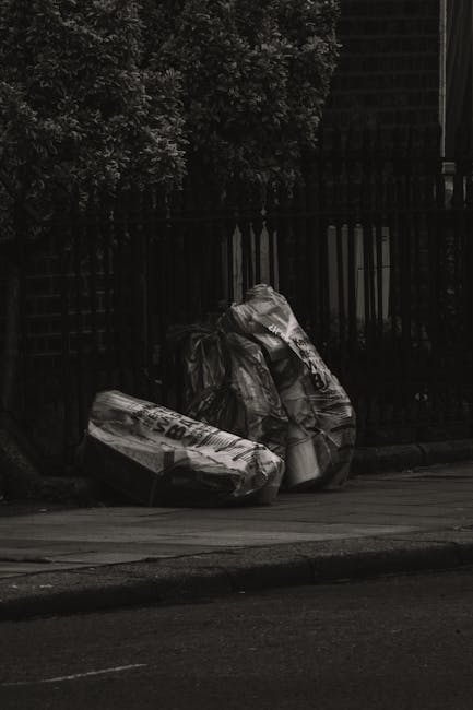 Licensed waste carrier essentials for UK rubbish removal trust